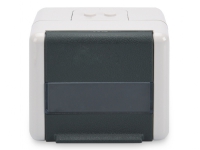 Digitus Professional - Ytmonterat uttag - alpine white, antracit - 2 portar